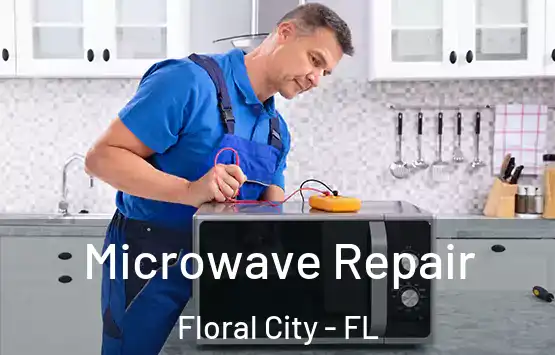  Microwave Repair Floral City - FL