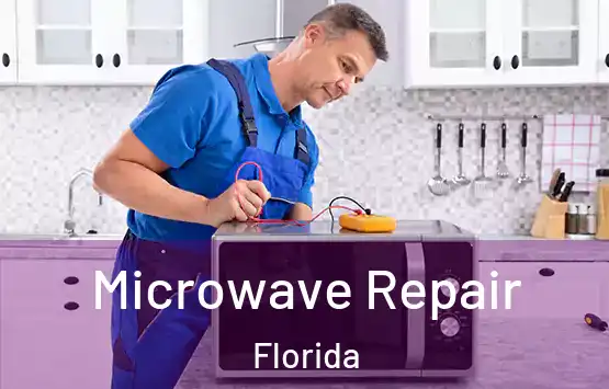  Microwave Repair Florida