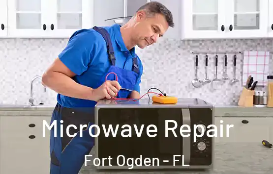  Microwave Repair Fort Ogden - FL