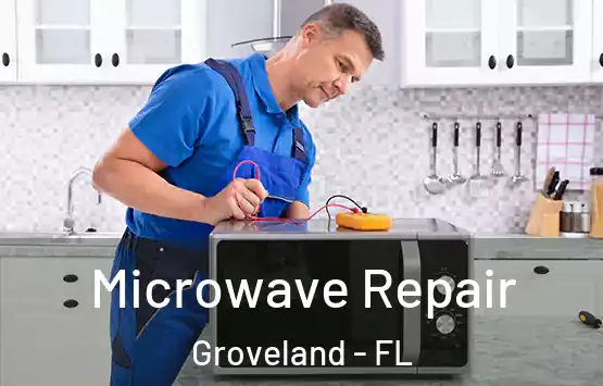 Microwave Repair Groveland - FL