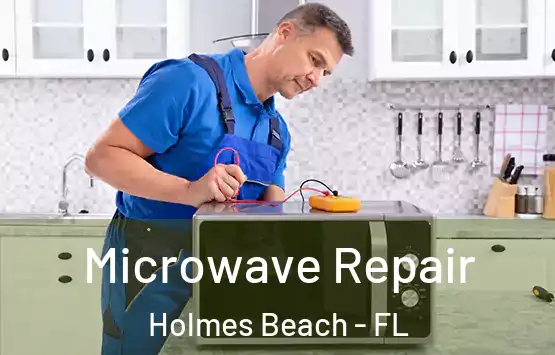  Microwave Repair Holmes Beach - FL