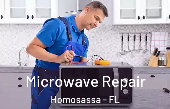  Microwave Repair Homosassa - FL