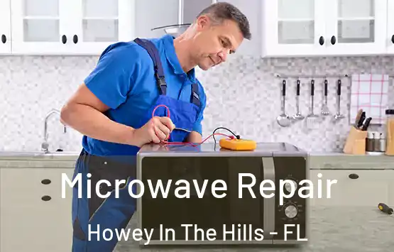  Microwave Repair Howey In The Hills - FL