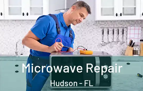  Microwave Repair Hudson - FL