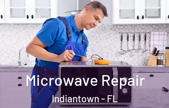  Microwave Repair Indiantown - FL