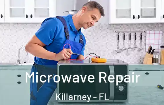  Microwave Repair Killarney - FL