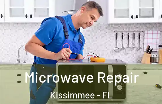  Microwave Repair Kissimmee - FL