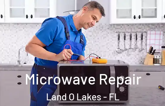 Microwave Repair Land O Lakes - FL