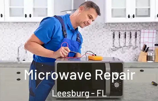  Microwave Repair Leesburg - FL