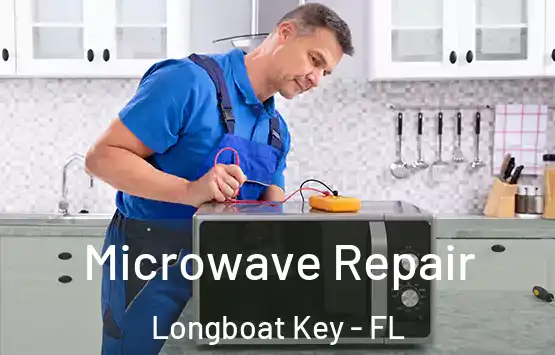  Microwave Repair Longboat Key - FL