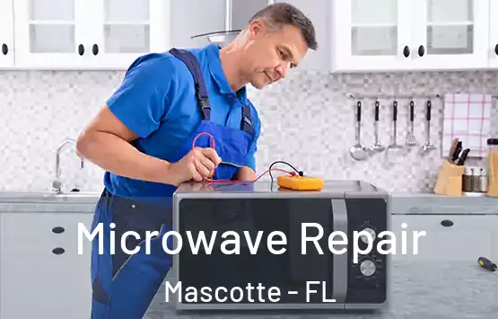  Microwave Repair Mascotte - FL