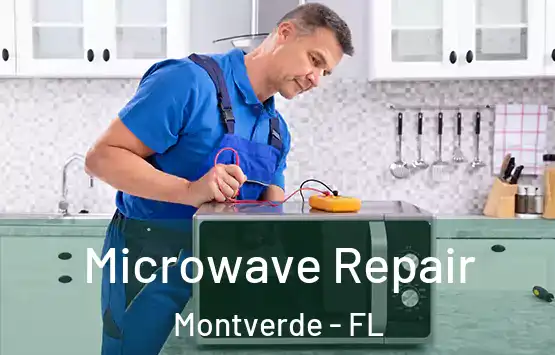  Microwave Repair Montverde - FL
