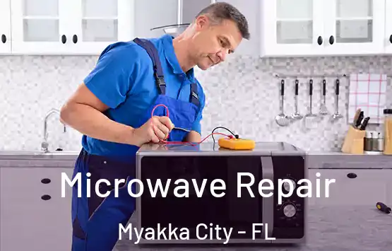  Microwave Repair Myakka City - FL
