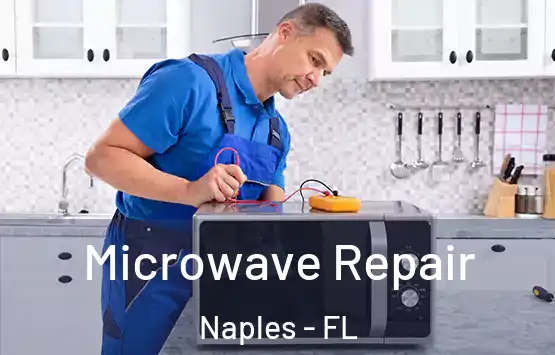  Microwave Repair Naples - FL