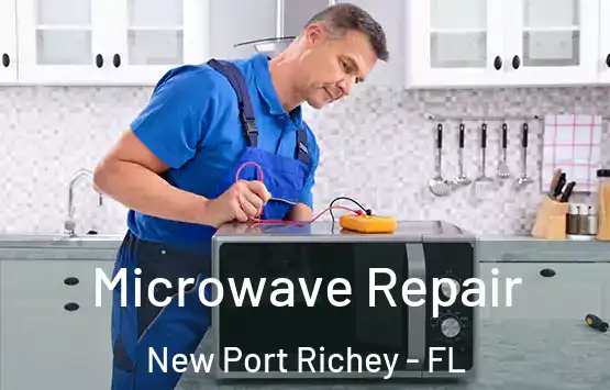  Microwave Repair New Port Richey - FL