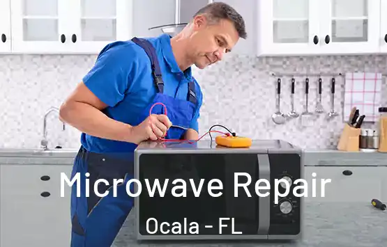  Microwave Repair Ocala - FL