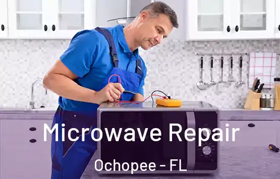  Microwave Repair Ochopee - FL