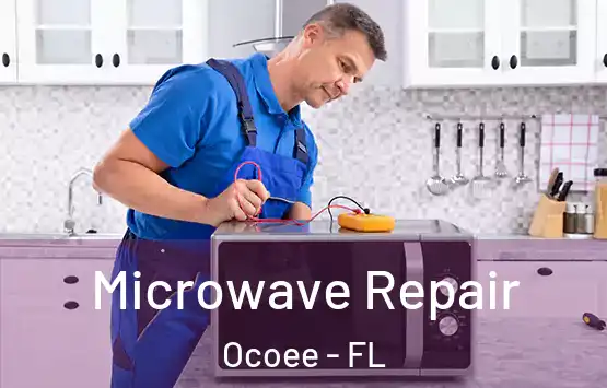  Microwave Repair Ocoee - FL