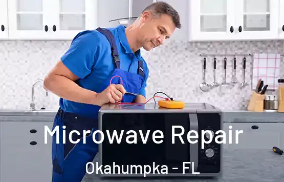  Microwave Repair Okahumpka - FL