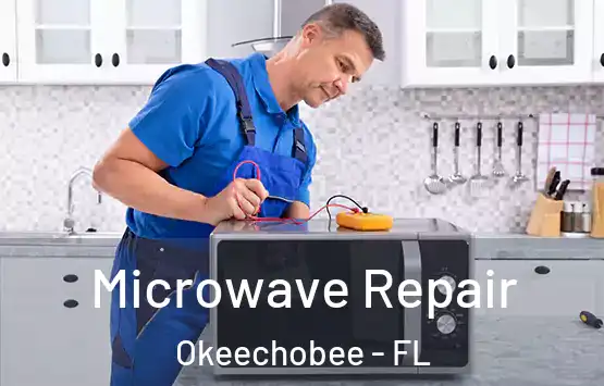  Microwave Repair Okeechobee - FL