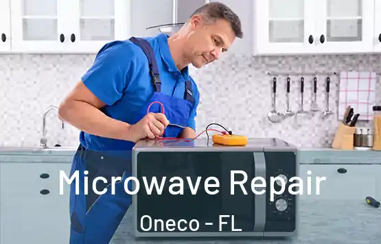  Microwave Repair Oneco - FL