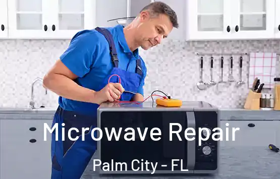  Microwave Repair Palm City - FL