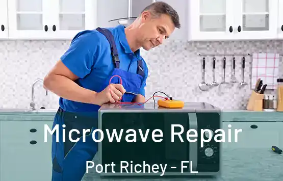  Microwave Repair Port Richey - FL