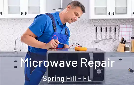  Microwave Repair Spring Hill - FL