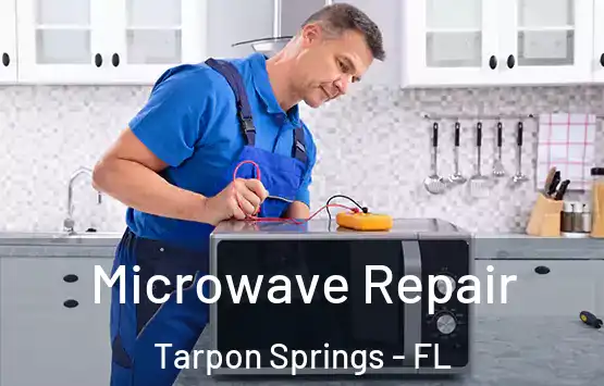  Microwave Repair Tarpon Springs - FL