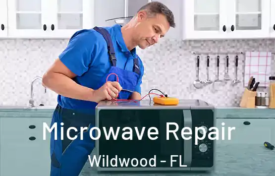  Microwave Repair Wildwood - FL