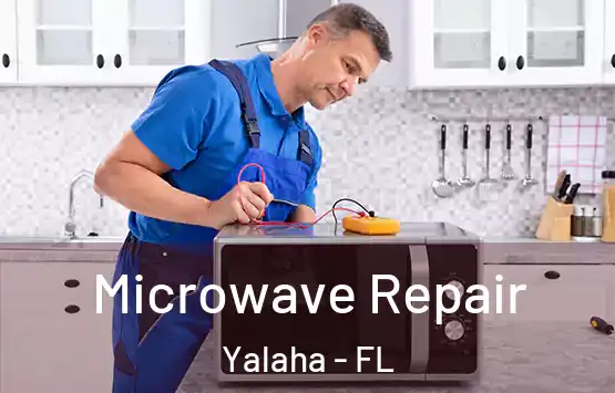  Microwave Repair Yalaha - FL