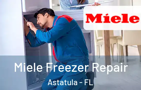  Miele Freezer Repair Astatula - FL