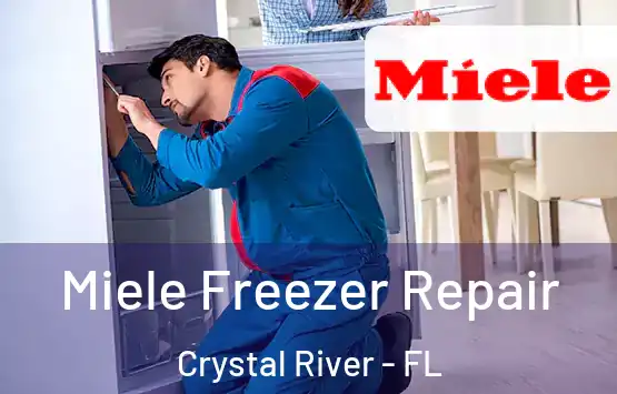  Miele Freezer Repair Crystal River - FL