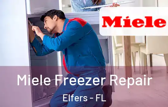  Miele Freezer Repair Elfers - FL