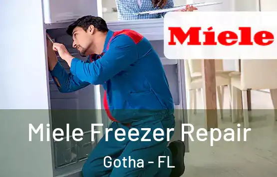  Miele Freezer Repair Gotha - FL