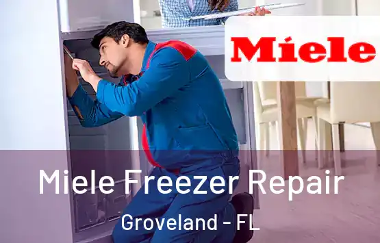  Miele Freezer Repair Groveland - FL
