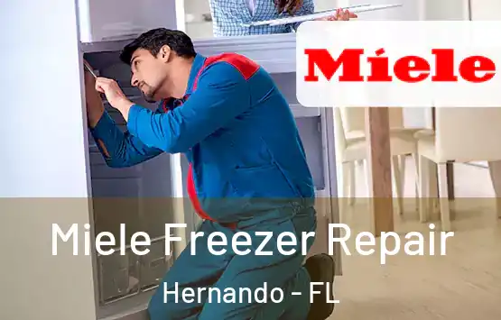  Miele Freezer Repair Hernando - FL
