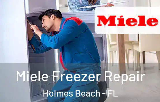  Miele Freezer Repair Holmes Beach - FL