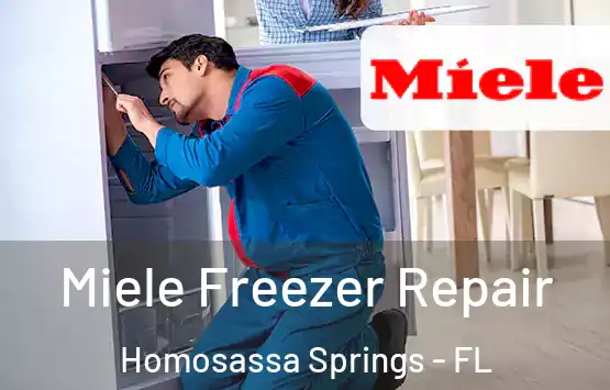  Miele Freezer Repair Homosassa Springs - FL