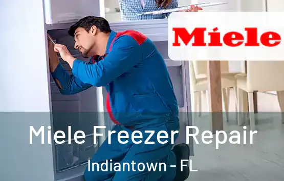  Miele Freezer Repair Indiantown - FL