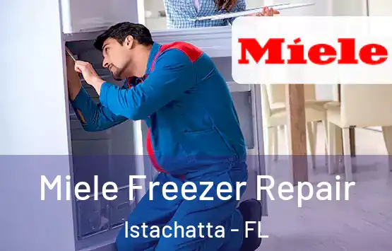  Miele Freezer Repair Istachatta - FL