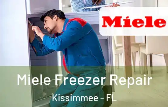  Miele Freezer Repair Kissimmee - FL