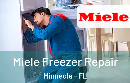  Miele Freezer Repair Minneola - FL