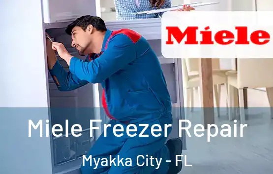  Miele Freezer Repair Myakka City - FL