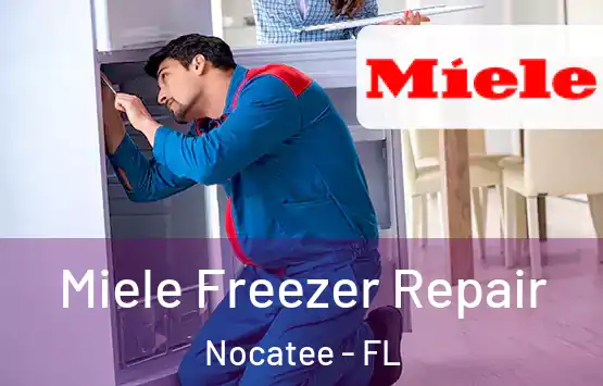  Miele Freezer Repair Nocatee - FL