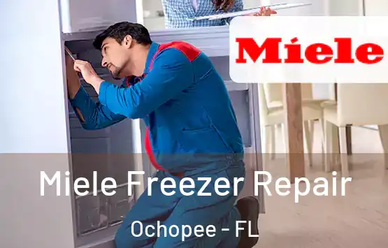  Miele Freezer Repair Ochopee - FL