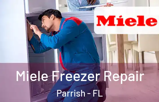  Miele Freezer Repair Parrish - FL