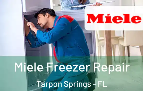  Miele Freezer Repair Tarpon Springs - FL