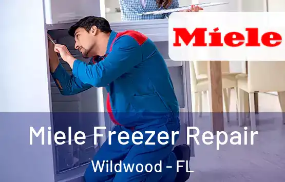  Miele Freezer Repair Wildwood - FL