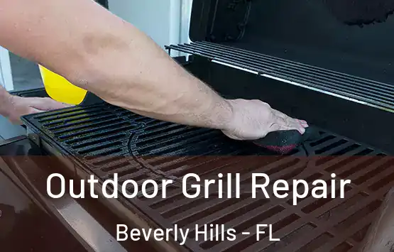  Outdoor Grill Repair Beverly Hills - FL
